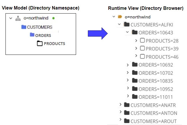 Context-driven Identity View Model and Runtime Preview