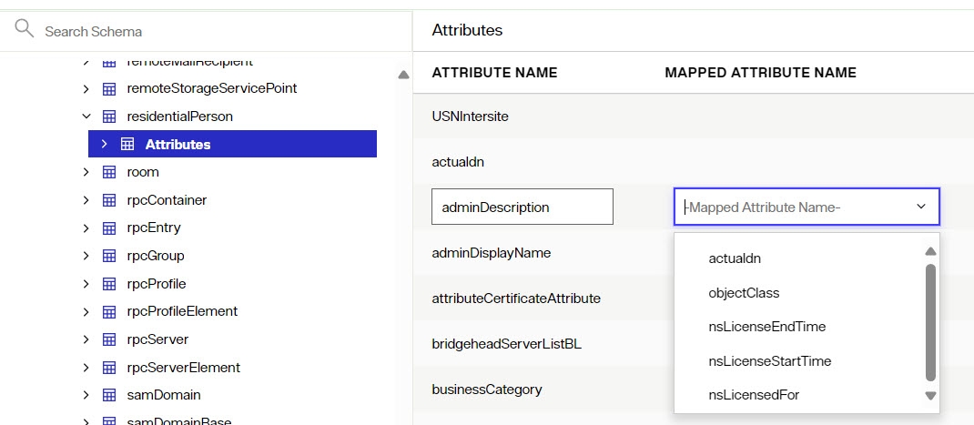 Re-Mapping LDAP Attributes