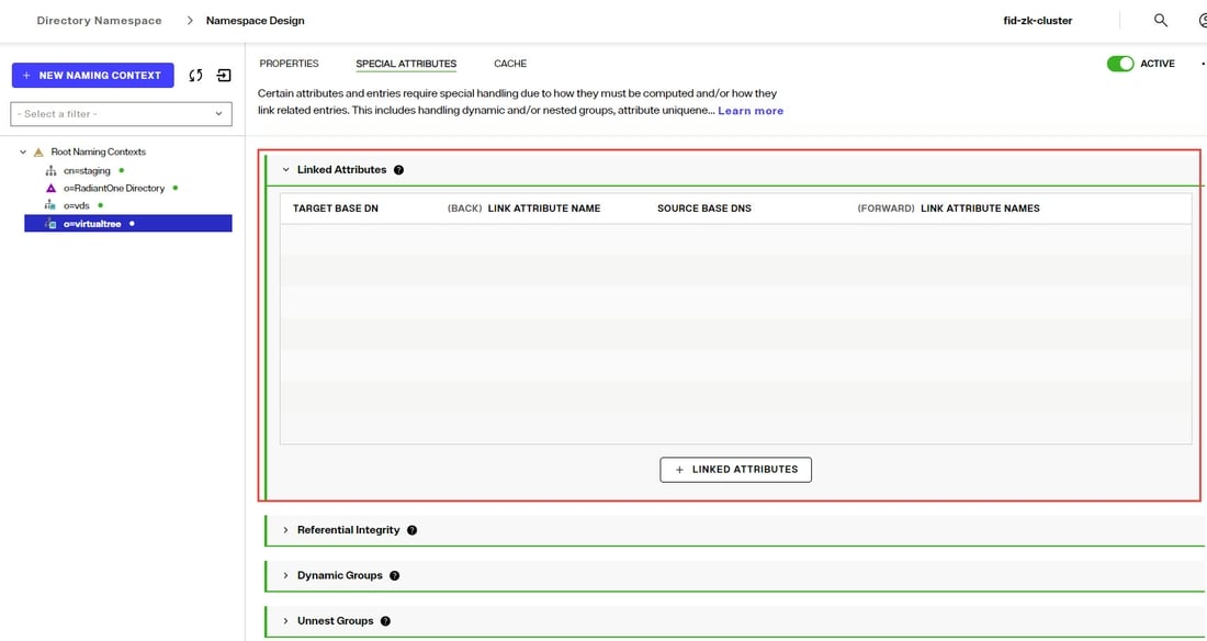 Special Attributes Handling