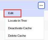 Cache Edit Option