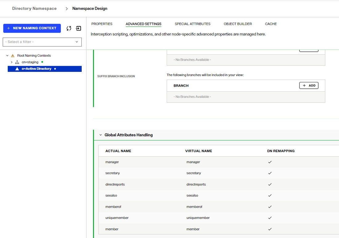 DN Remapping Example