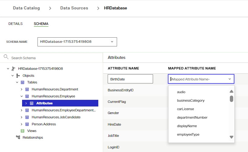 Mapping Database Attributes